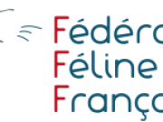 Logo fff 1