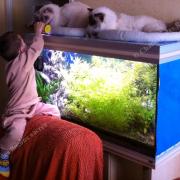 Cocoon Chataigne et notre fils