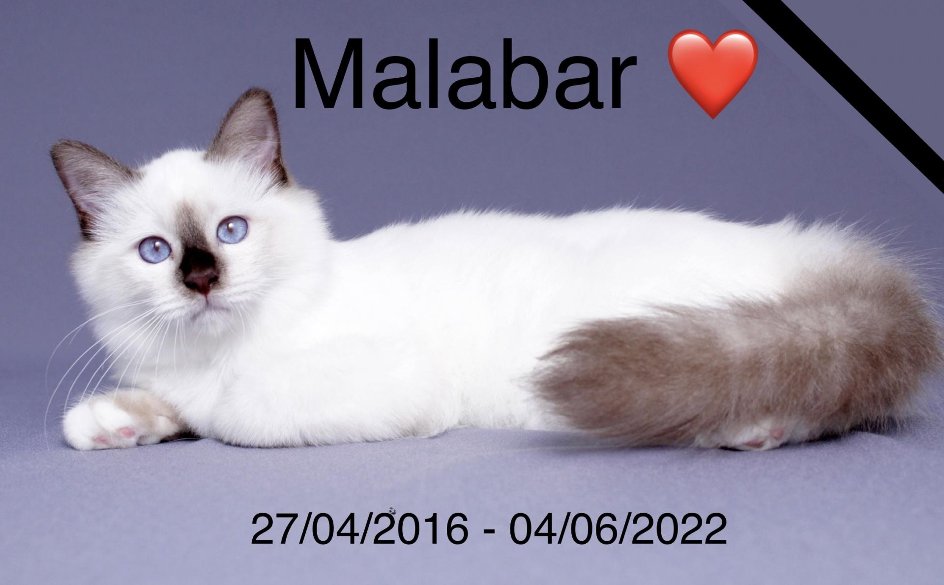 MALABAR